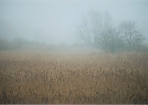 Oderbruch im Herbst. Picture made by F. Weigelt.